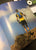 Libro "Trail Running e Ultra-trail" di Nicola Giovanelli (con esercizi mirati alla corsa)